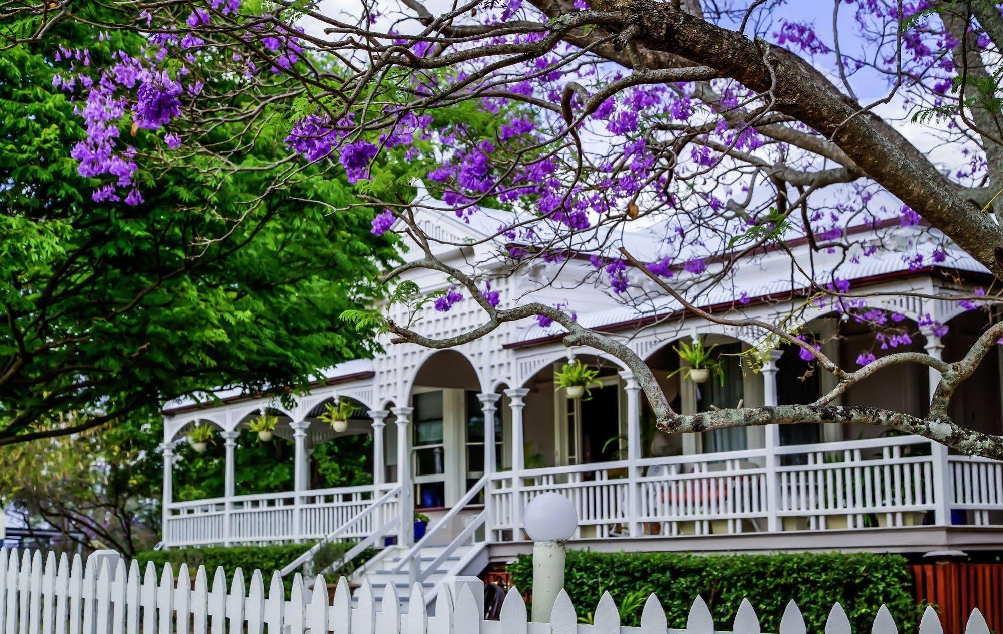 Wiss House Bed & Breakfast Kalbar Buitenkant foto